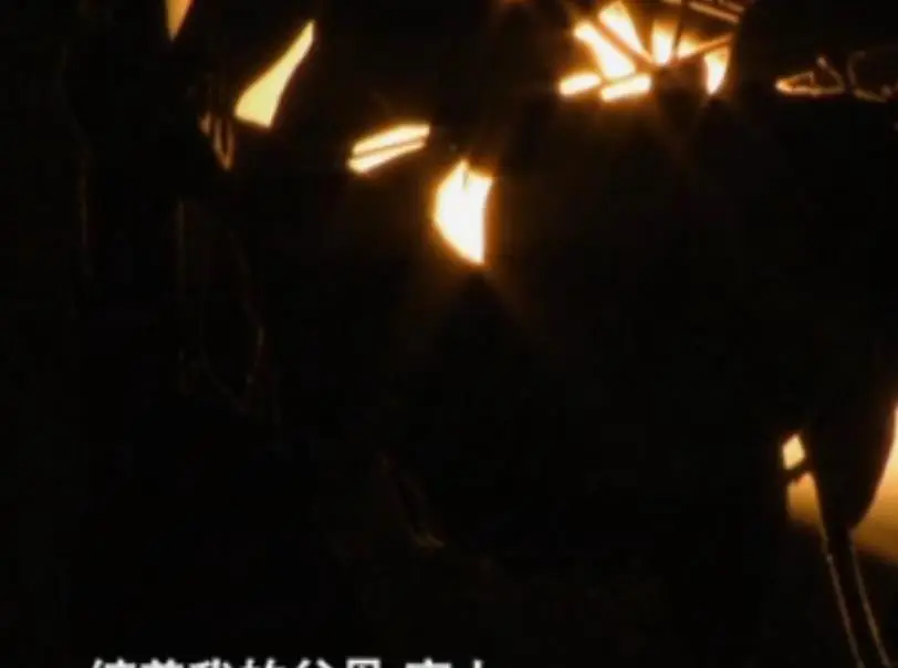 柴静+看见药家鑫_药家鑫案父亲教育方式分析_药家鑫案详细情况