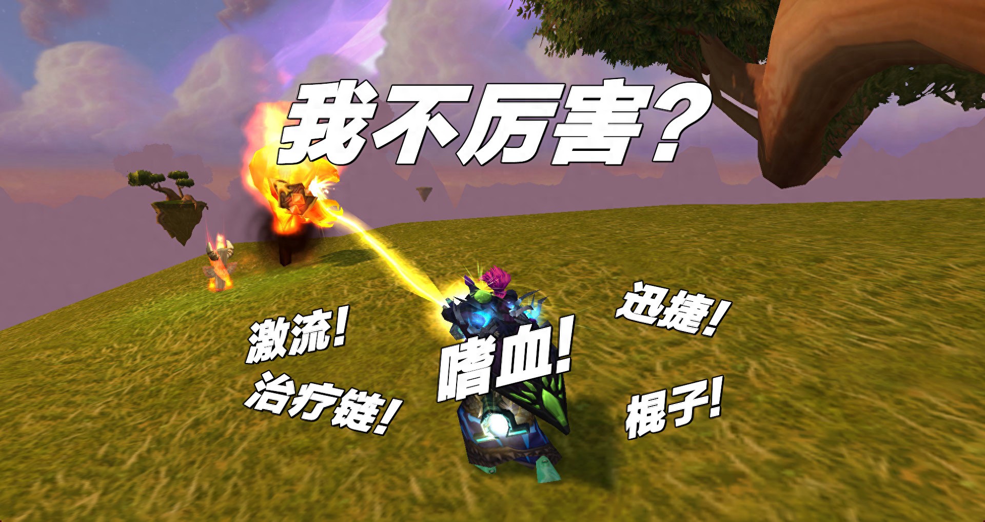魔兽世界：WLK工具人之王花落谁家？鸟德强势突袭，萨满表示不服