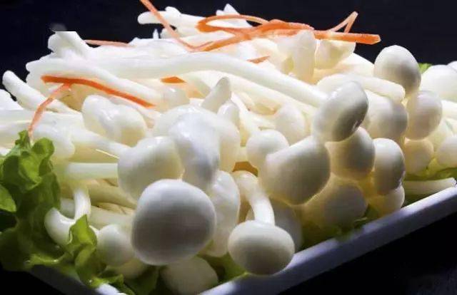 食用菌介绍_蘑菇种类及图片大全_蘑菇山宝库