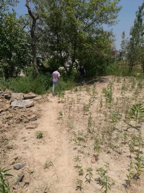 湖州市织里事件图片_湖州公安局重启22年前悬案侦破_湖州织里镇19951129特大抢劫杀人案