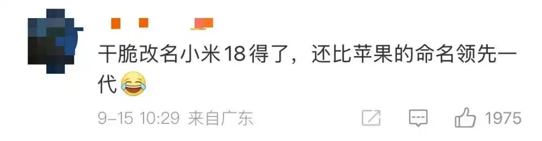 小米17 Pro Max体验_小米17系列发布时间_雷军：小米17对标iphone 正面迎战