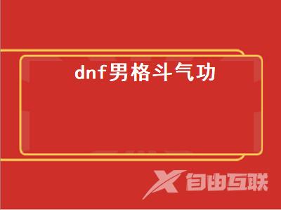 dnf男气功师穿什么甲好_dnf男格斗转什么好_dnf男格斗气功二转叫什么
