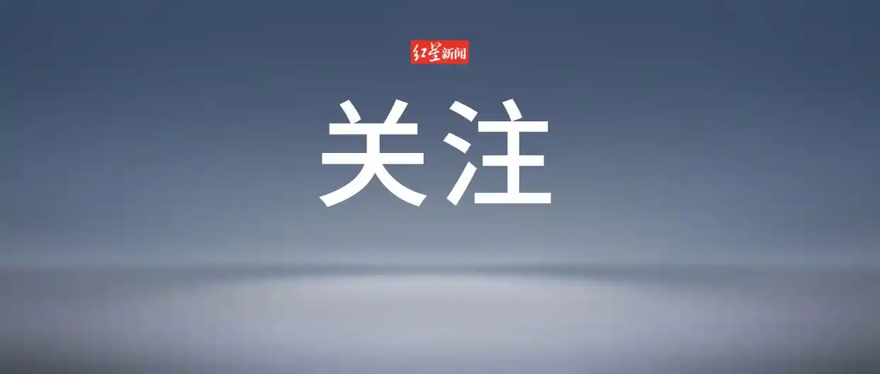 祖母照料孙辈，起诉要求75万“保姆费”，法院判了