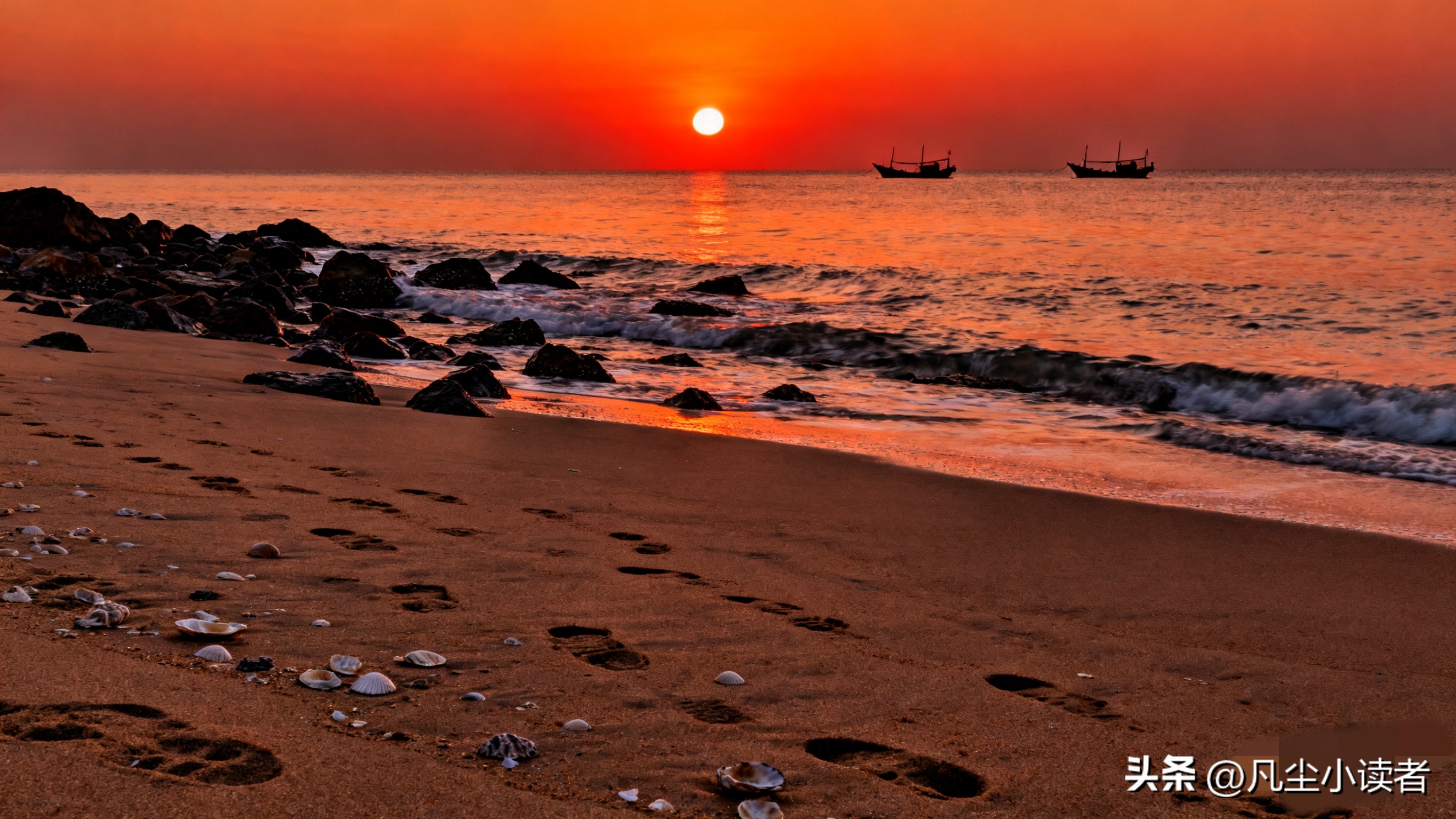 怎么样发表文章_写文章没人看怎么办_新手写作技巧分享