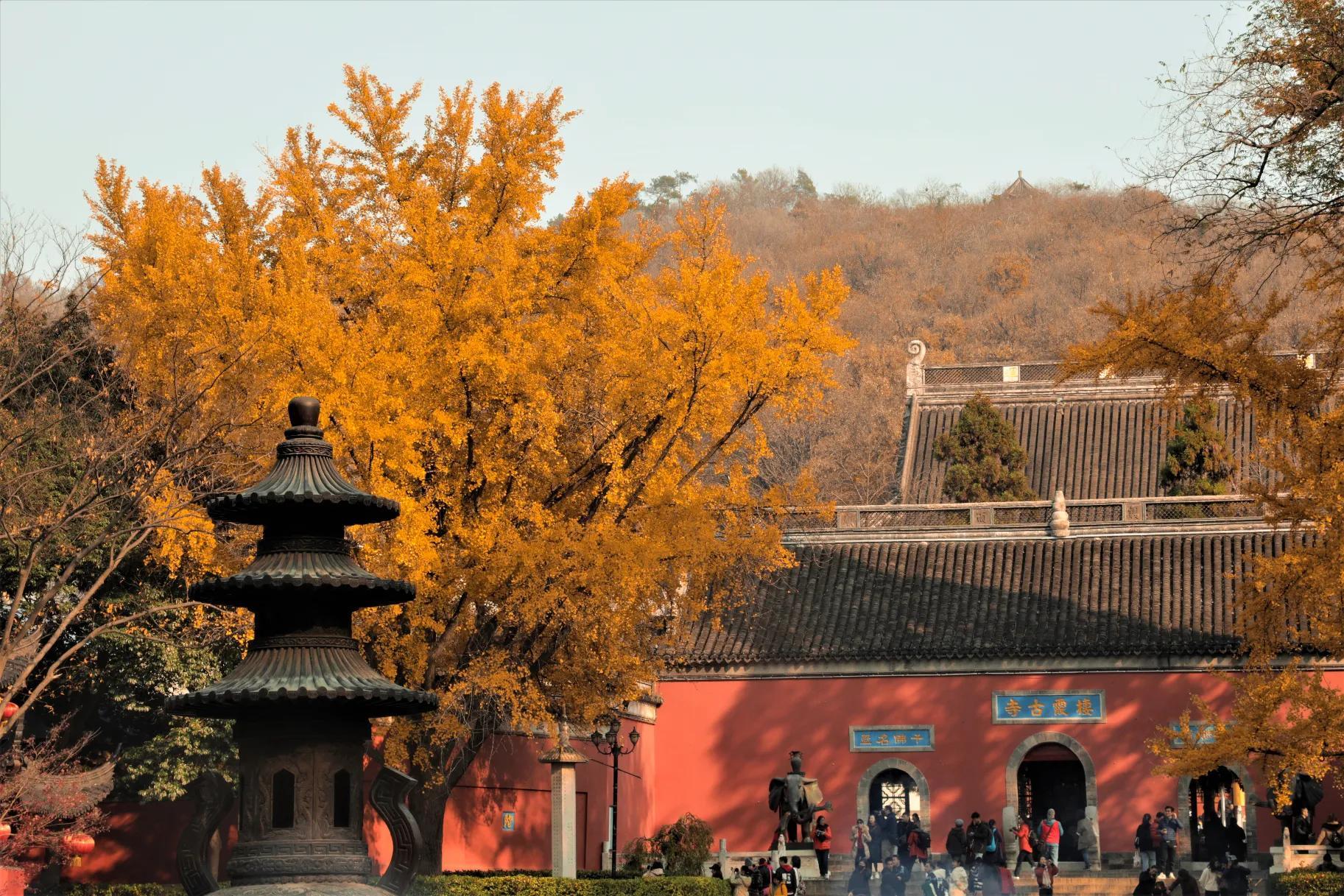 中国最美风景区排行榜_避人潮旅行攻略_11月旅行地推荐