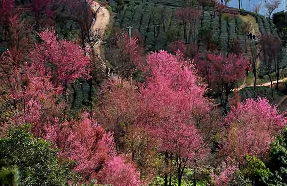 11月旅行地推荐_中国最美风景区排行榜_避人潮旅行攻略