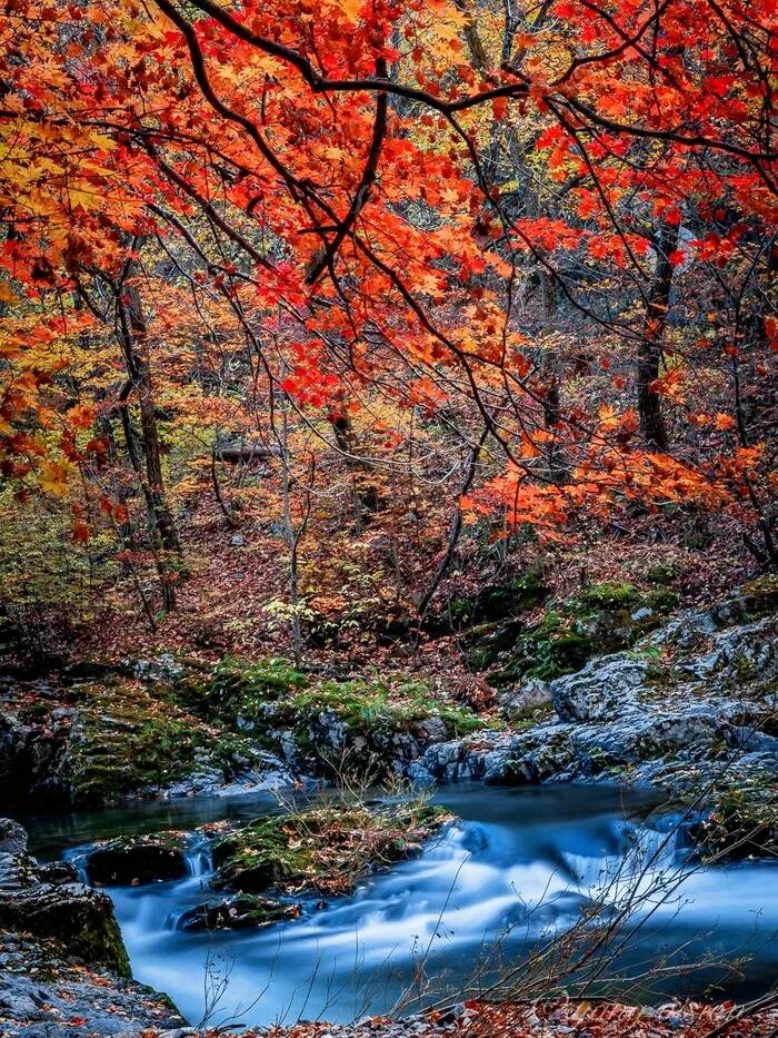 中国最美秋色喀纳斯湖_额济纳胡杨林最佳观赏时间_中国最美风景区排行榜
