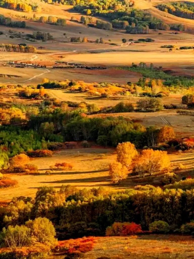 中国最美风景区排行榜_中国最美秋色喀纳斯湖_额济纳胡杨林最佳观赏时间