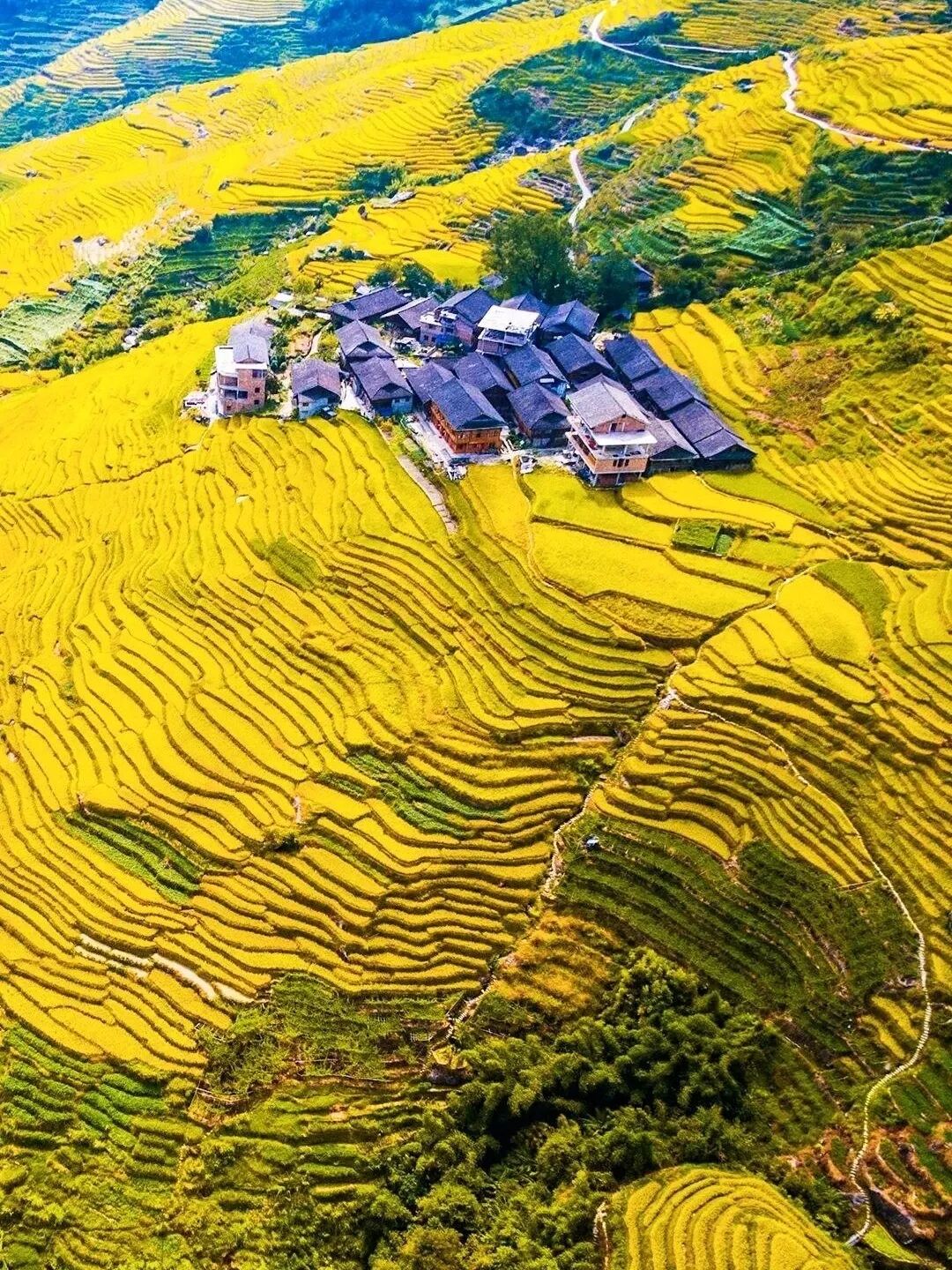 额济纳胡杨林最佳观赏时间_中国最美秋色喀纳斯湖_中国最美风景区排行榜