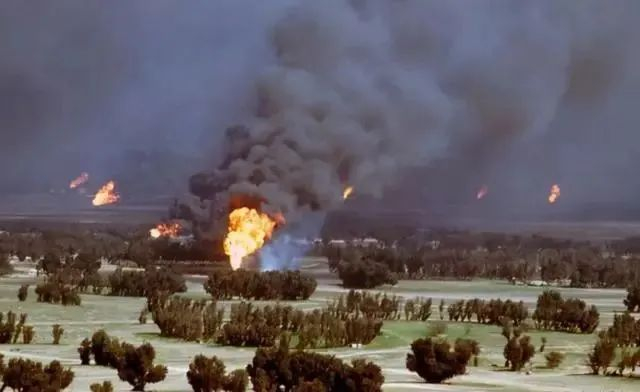 萨达姆替身数量_萨达姆为何不逃到中国_萨达姆替身训练过程