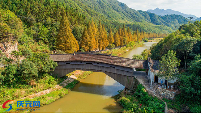 庆元古廊桥旅游_庆元县公安局长_庆元廊桥文化
