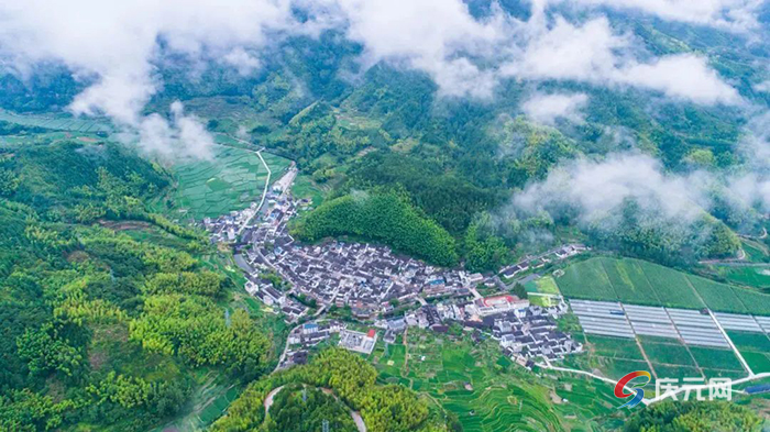 庆元县林长制评价优秀_庆元县公安局长_浙江省自然资源集约利用考核