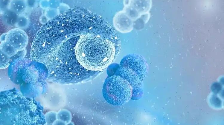 冬季老年人洗澡频率_老年人冬季洗澡注意事项_洗澡用什么洗最好