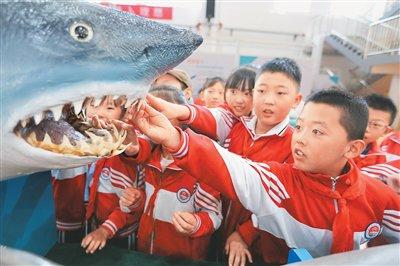 青少年素质学校_全国科普月活动_科技馆科普实践