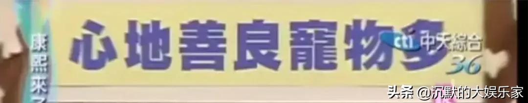 吴佩慈纪晓波_吴佩慈怀孕_吴佩慈孕妇装生活照