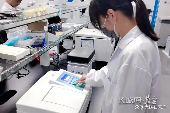 河北新材料产业发展_碲化镉薄膜发电玻璃_中国在无机光伏材料薄膜化有新进展