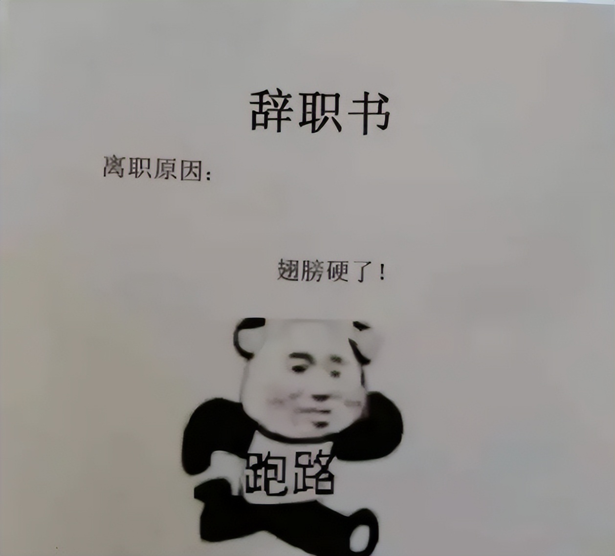 00后大学生辞职信原因_网红辞职信世界那么大_00后毕业生个性辞职信分析