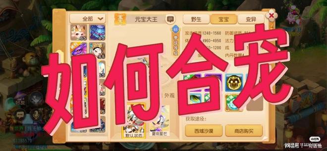 保姆级攻略如何合宠