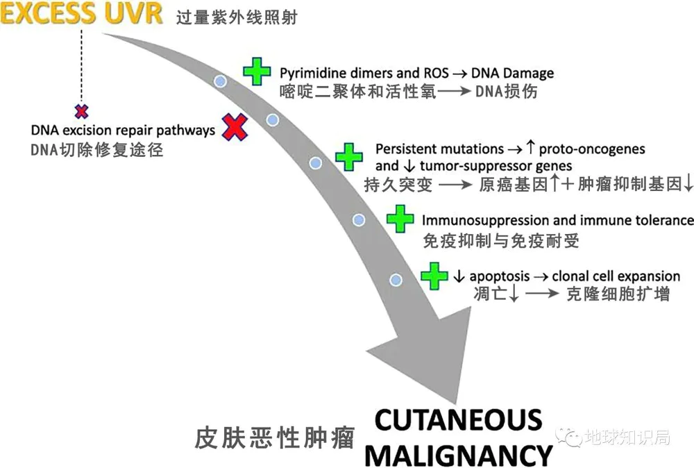 地球臭氧层正在恢复_氯氟烃对臭氧层的影响_南极臭氧空洞恢复时间