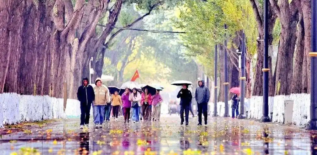 今年下半年最强冷空气_多地气温连创今年下半年来新低_多地迎剧烈降温！大雪大暴雨来了