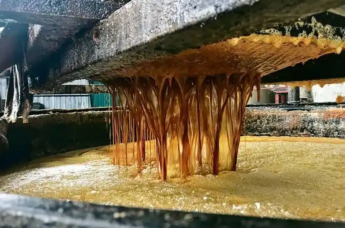 美行业组织挑唆拜登政府对中国废食用油加征关税