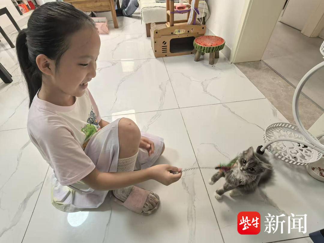 小学生观察力培养_小猫描写写作技巧_校园新闻写作范文点评