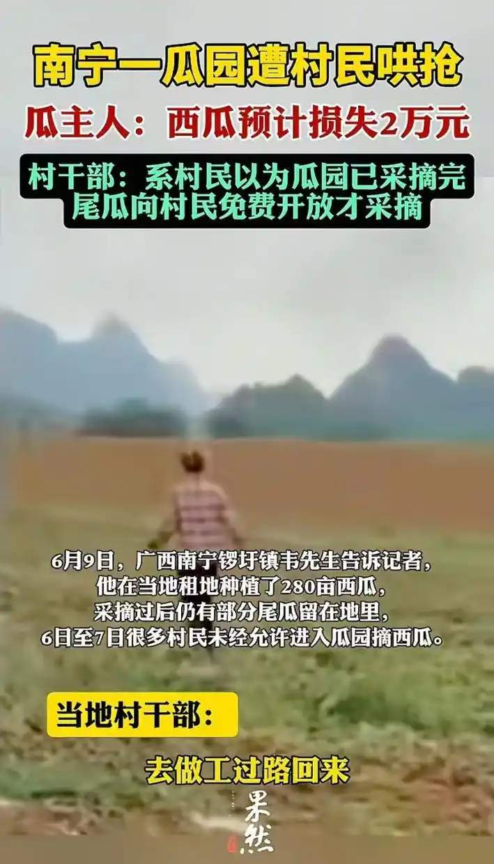 近期多地哄抢事件分析_百亩葵花田遭哄抢 8人被行拘_村民哄抢瓜田土豆事件舆情