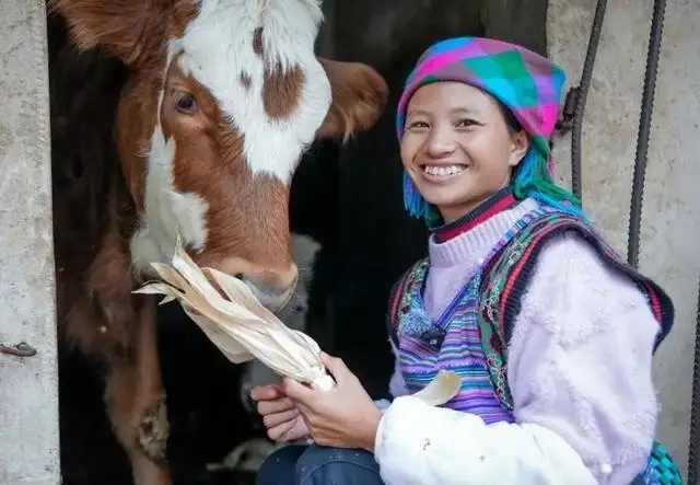 直播带货安全风险_网红小英丈夫酒后撞人逃逸被刑拘_网红夫妻车祸事故