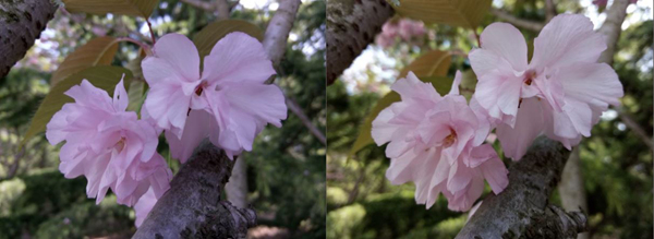 魅蓝Note3 对比_乐视超级手机2 评测_乐视手机玩游戏竖屏怎么办