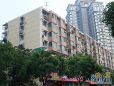 武林公寓 1室1厅 南