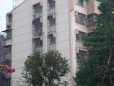 武林商圈 顶跃 42平大露台 杭州老底子的生活氛围