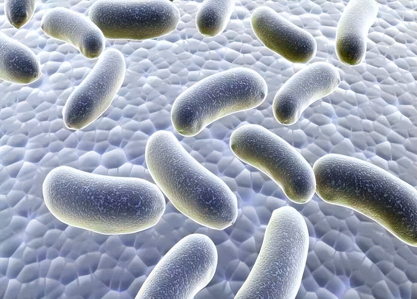 股癣症状预防技巧_股藓 用什么洗澡_大腿根部出汗有味原因处理方法