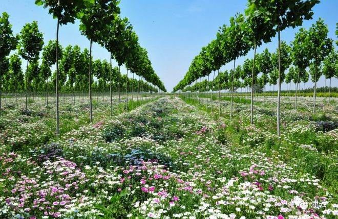 静海区新兴产业投资发展_静海新闻对子牙搬迁_静海区高质量发展产业创新升级