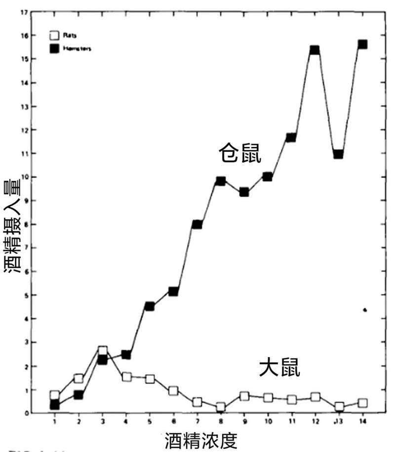 仓鼠对酒精的耐受度_仓鼠不用喝水会死吗_仓鼠酒量研究