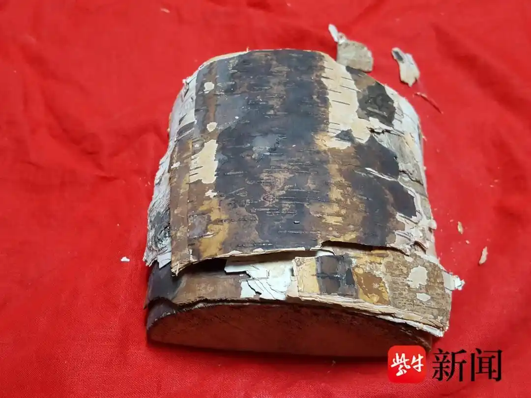 杨靖宇桦树皮传家宝_马继民抗日名将后代_杨靖宇之孙拿出一块“传家宝”