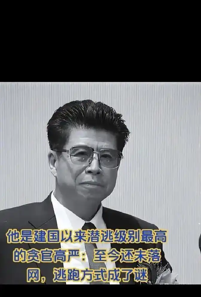 高严 失踪事件_云南高严贪腐案_原云南省委书记高严的情妇杨珊 现在何处