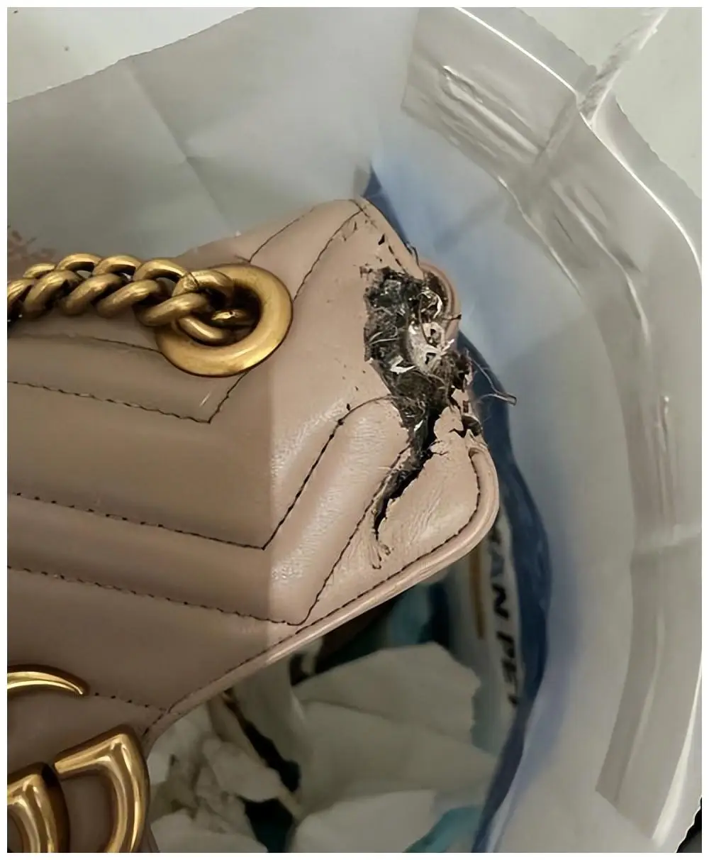 高严贪污细节_高严逃亡案_原云南省委书记高严的情妇杨珊 现在何处