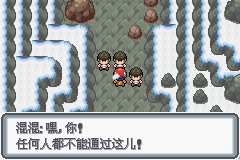 口袋妖怪黑白2周目_口袋妖怪白金光一周目详细流程指南_口袋妖怪白金光一周目图文攻略大全
