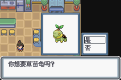 口袋妖怪白金光一周目详细流程指南_口袋妖怪黑白2周目_口袋妖怪白金光一周目图文攻略大全