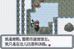 口袋妖怪白金光一周目详细流程指南_口袋妖怪黑白2周目_口袋妖怪白金光一周目图文攻略大全