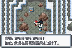 口袋妖怪白金光一周目图文攻略大全_口袋妖怪白金光一周目详细流程指南_口袋妖怪黑白2周目