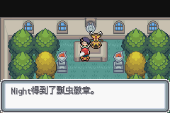 口袋妖怪白金光一周目图文攻略大全_口袋妖怪白金光一周目详细流程指南_口袋妖怪黑白2周目
