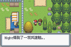 口袋妖怪黑白2周目_口袋妖怪白金光一周目详细流程指南_口袋妖怪白金光一周目图文攻略大全