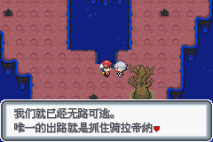 口袋妖怪白金光一周目图文攻略大全_口袋妖怪白金光一周目详细流程指南_口袋妖怪黑白2周目