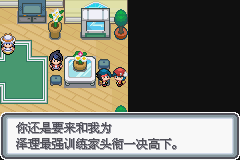 口袋妖怪黑白2周目_口袋妖怪白金光一周目图文攻略大全_口袋妖怪白金光一周目详细流程指南