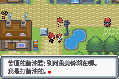 口袋妖怪黑白2周目_口袋妖怪白金光一周目详细流程指南_口袋妖怪白金光一周目图文攻略大全