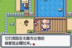 口袋妖怪白金光一周目图文攻略大全_口袋妖怪黑白2周目_口袋妖怪白金光一周目详细流程指南