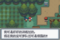 口袋妖怪白金光一周目图文攻略大全_口袋妖怪黑白2周目_口袋妖怪白金光一周目详细流程指南