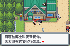 口袋妖怪白金光一周目详细流程指南_口袋妖怪白金光一周目图文攻略大全_口袋妖怪黑白2周目