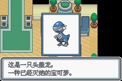 口袋妖怪白金光一周目图文攻略大全_口袋妖怪黑白2周目_口袋妖怪白金光一周目详细流程指南